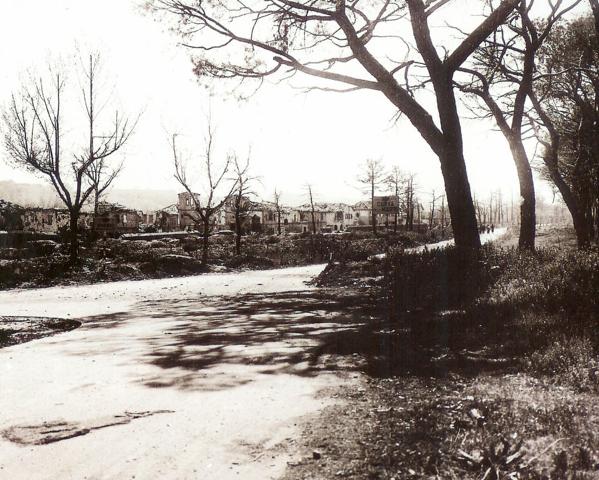 Curva de la muerte